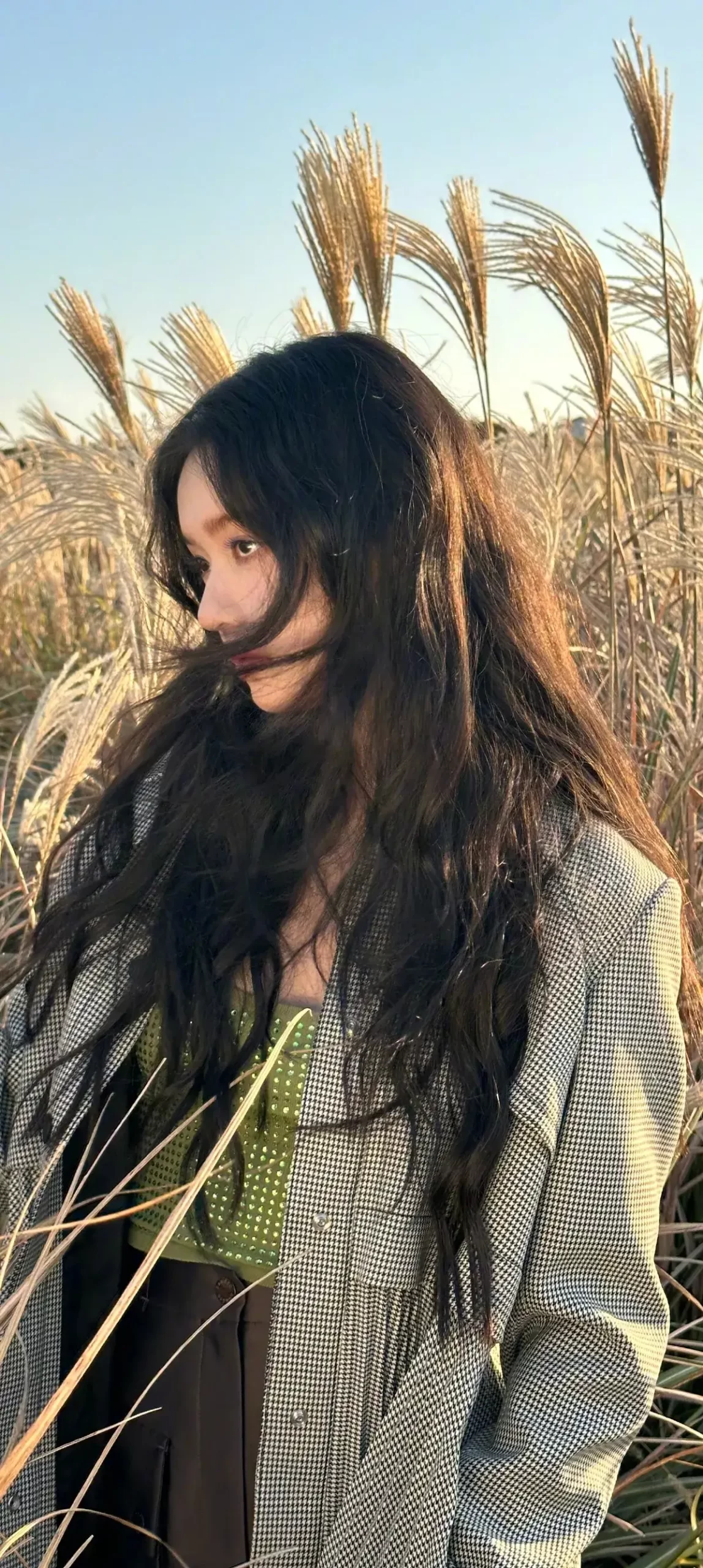 林允氛围感写真大片壁纸插图6