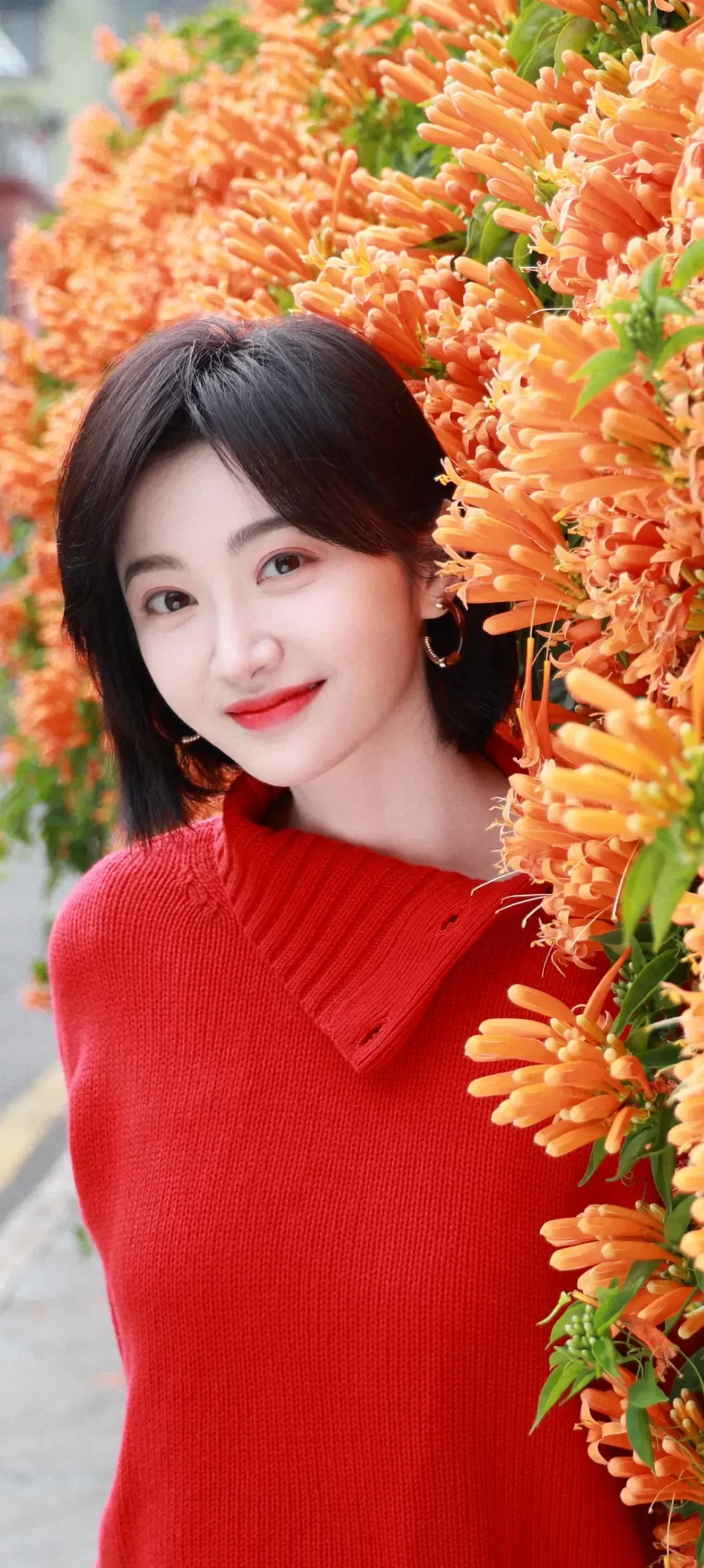 景甜红毛衣高清写真壁纸插图