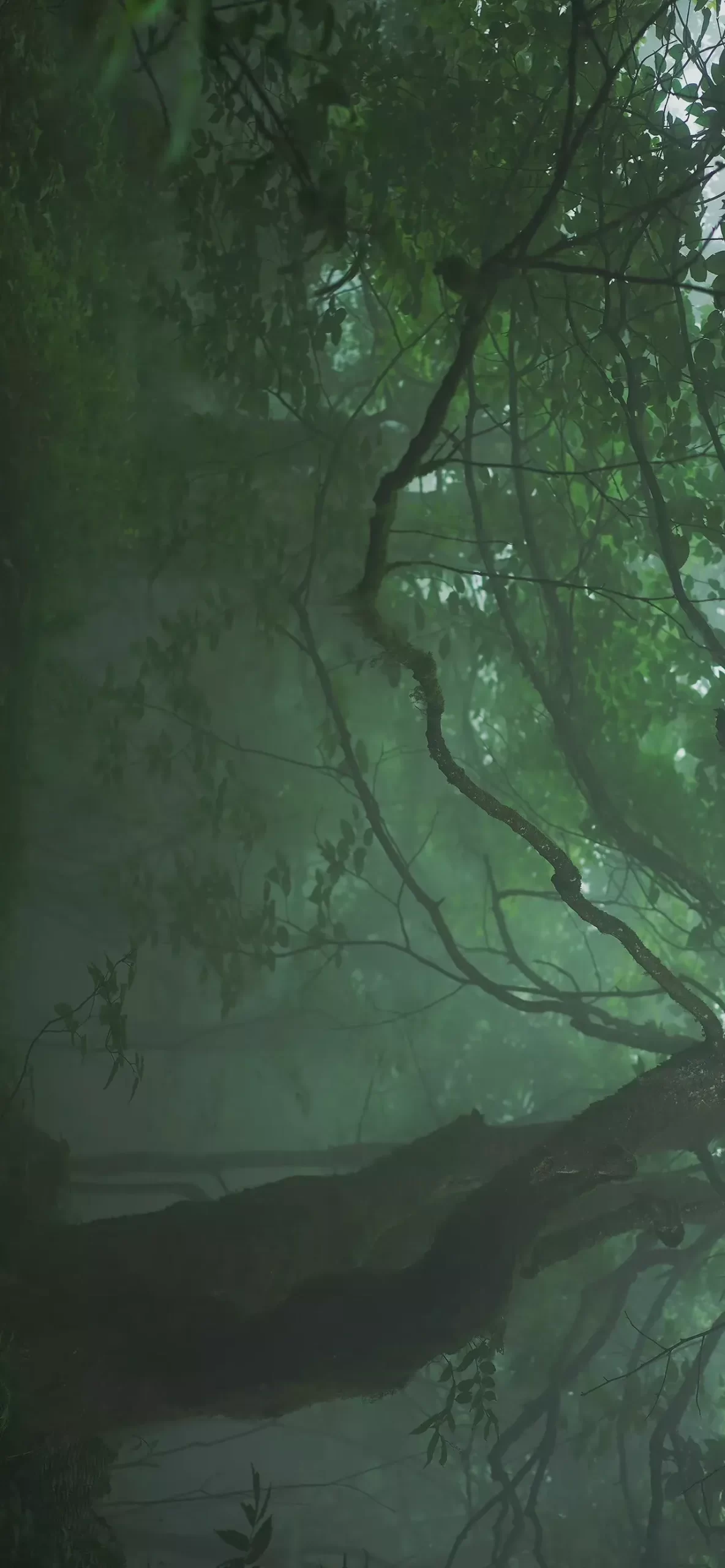 精选壁纸 | 春风吹海棠插图11