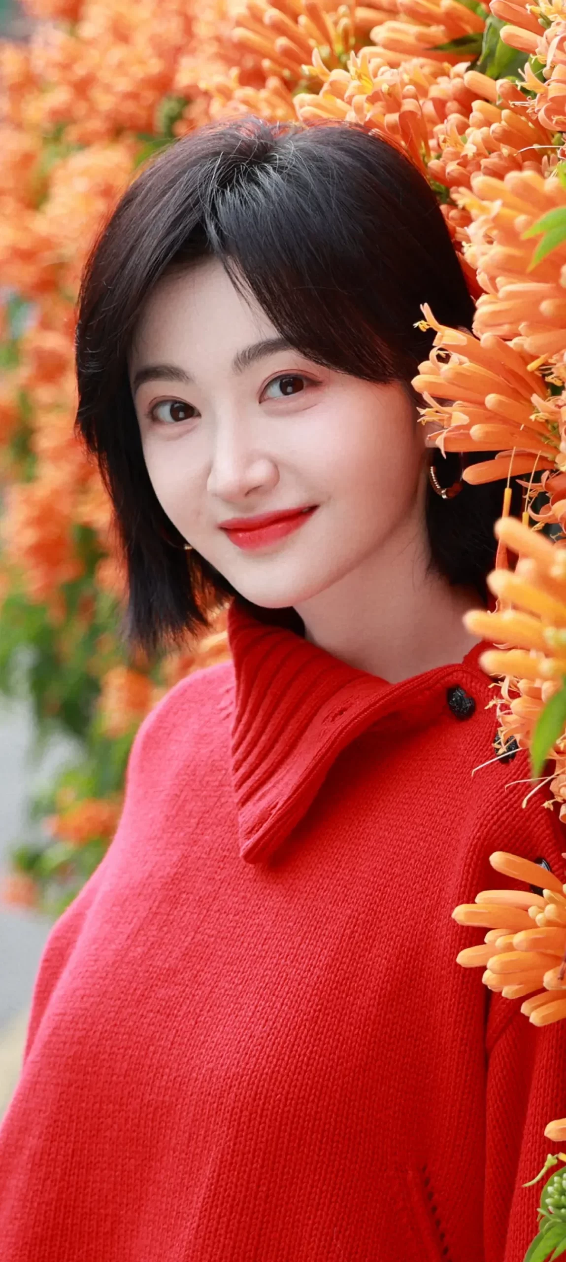 景甜红毛衣高清写真壁纸插图8