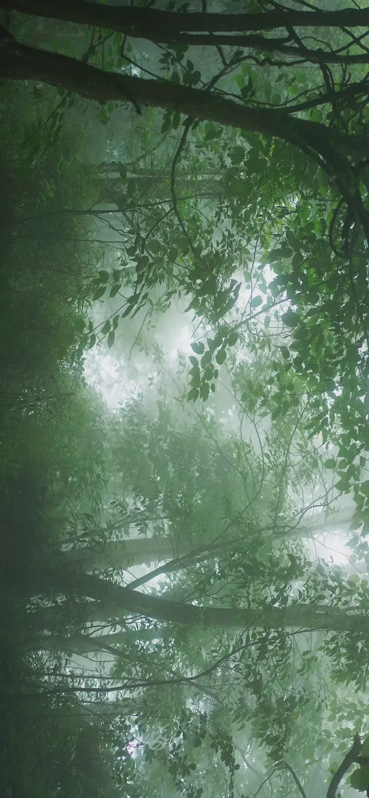 精选壁纸 | 春风吹海棠插图16