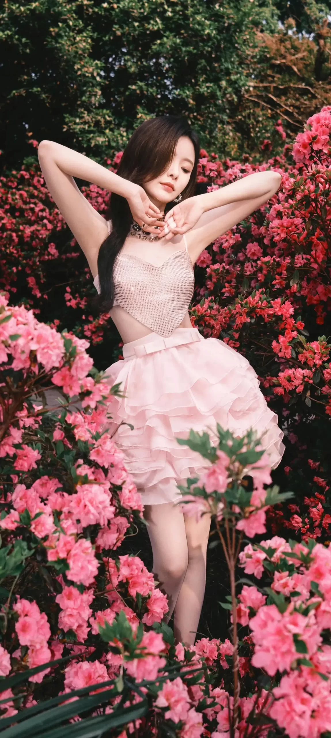 陈卓璇粉色写真壁纸插图6