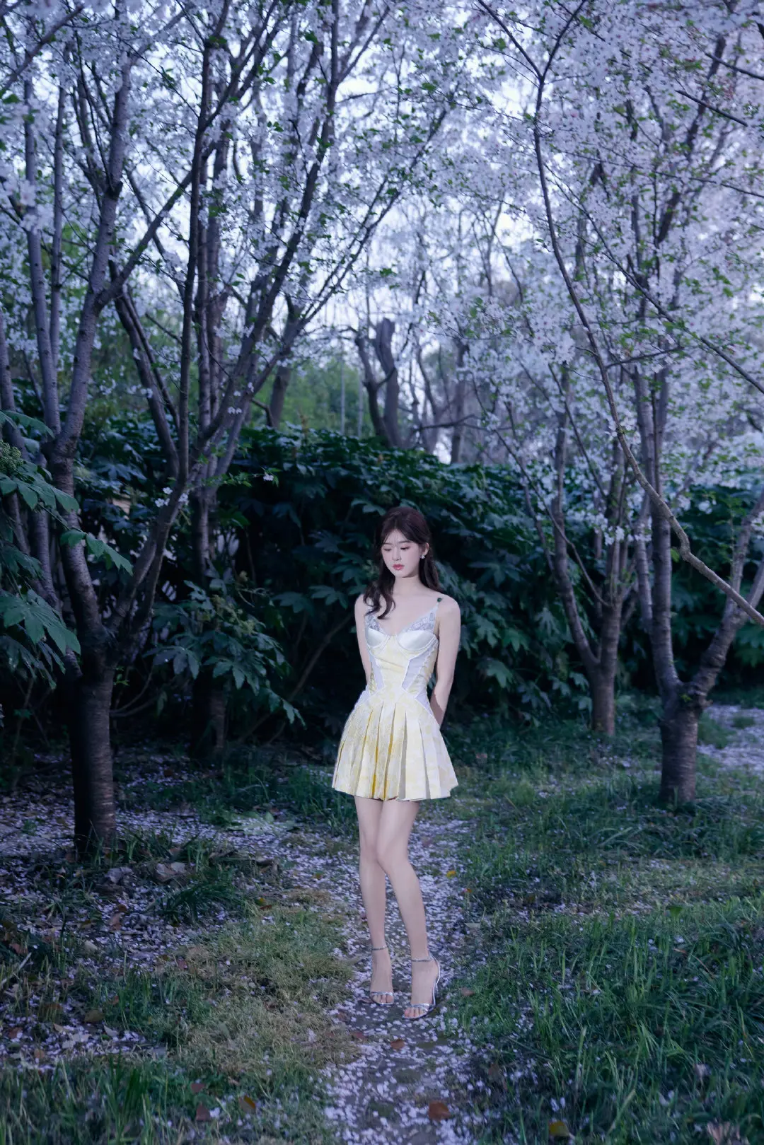 赵露思春日写真插图4