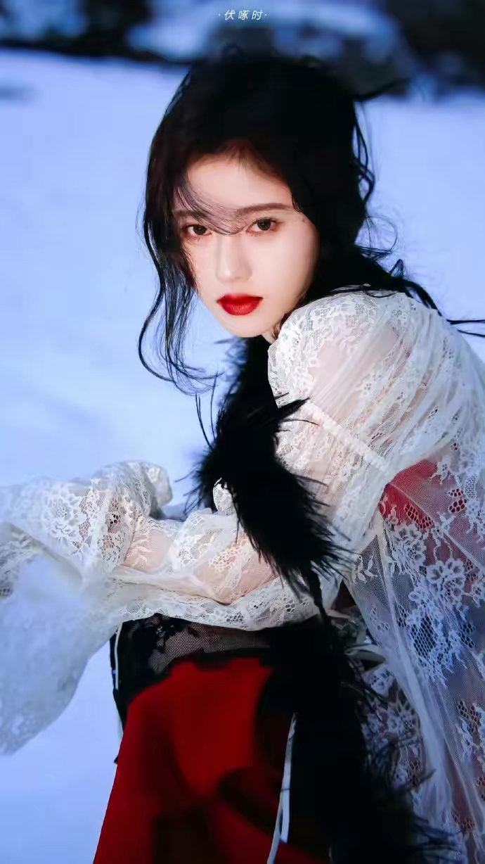 鞠婧祎雪地玫瑰壁纸插图8