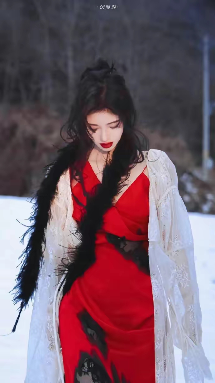 鞠婧祎雪地玫瑰壁纸插图11