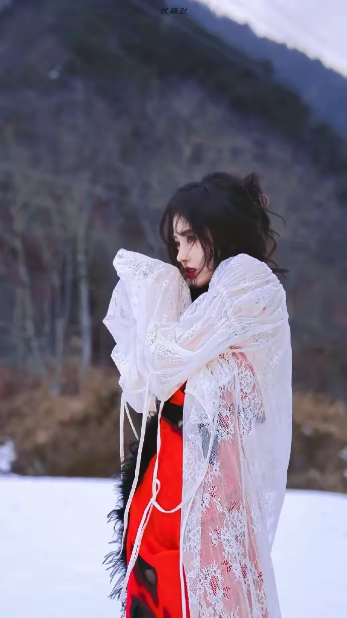 鞠婧祎雪地玫瑰壁纸插图9