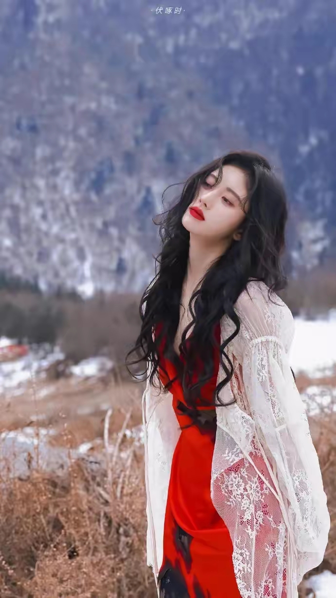 鞠婧祎雪地玫瑰壁纸插图