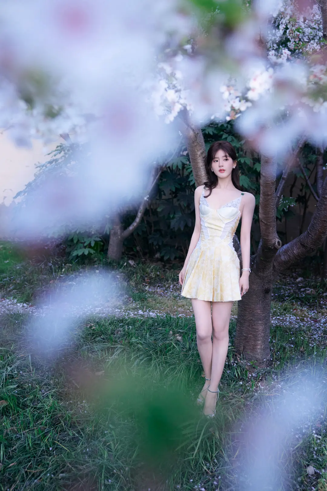 赵露思春日写真插图3