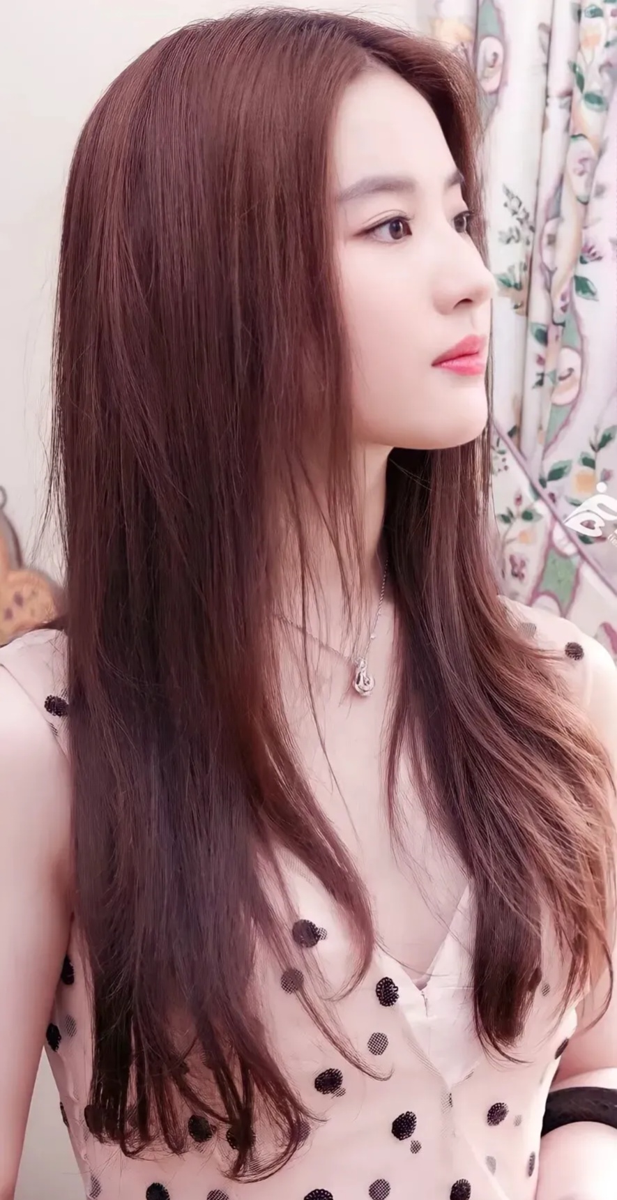女神刘亦菲写真插图1