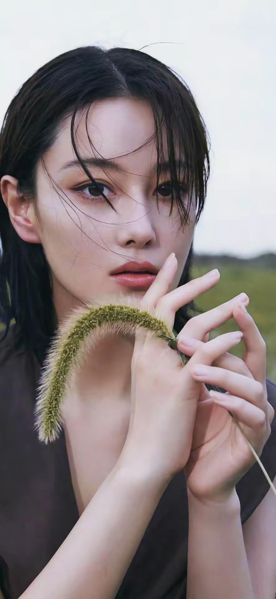 张馨予高清写真壁纸插图16