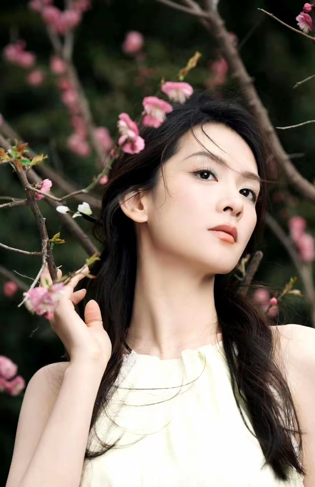 陈昊宇写真插图8