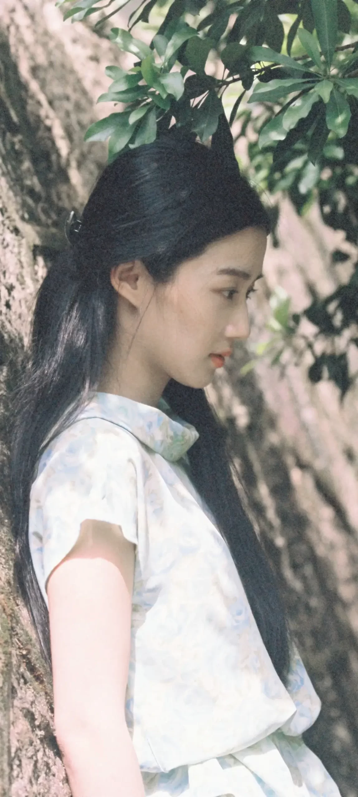 卢昱晓小清新甜美写真壁纸插图6
