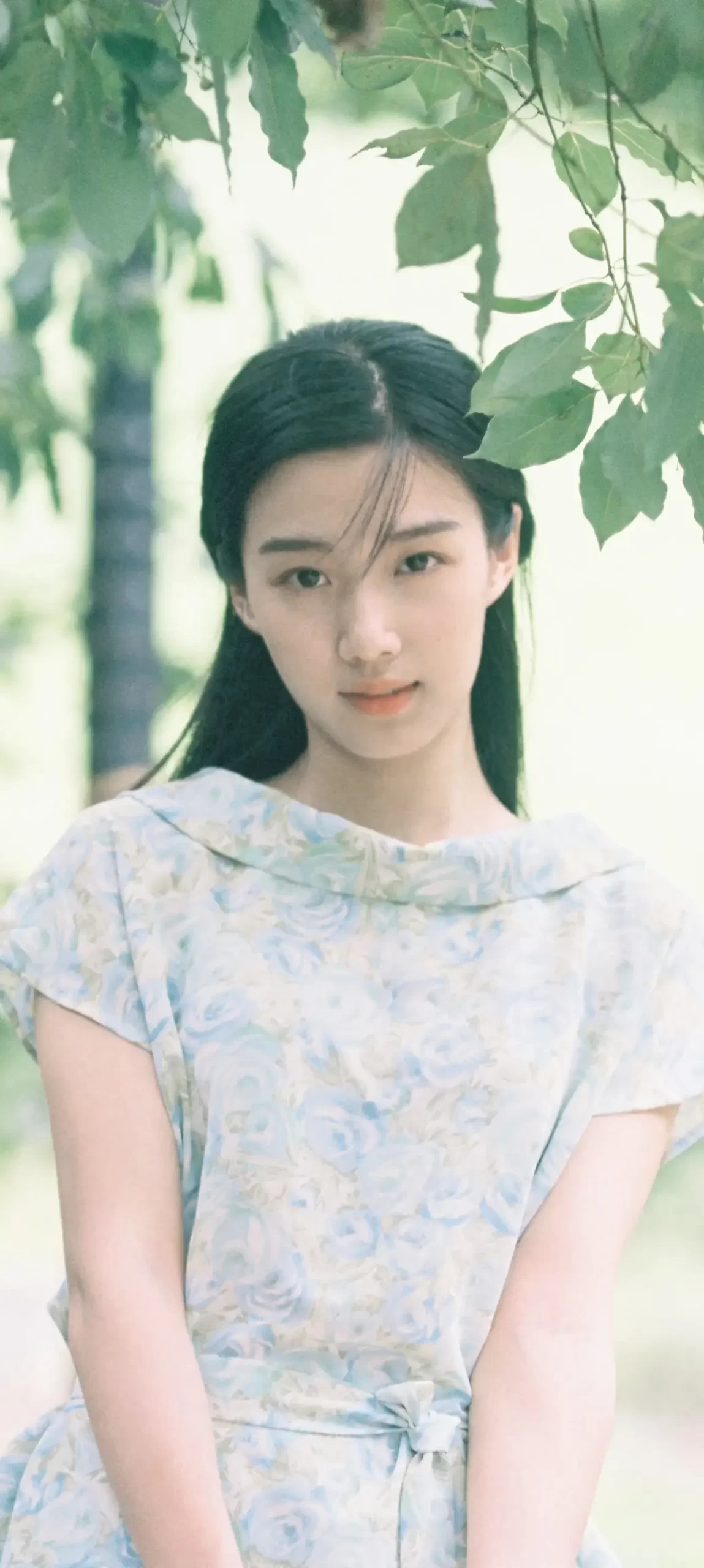 卢昱晓小清新甜美写真壁纸插图1