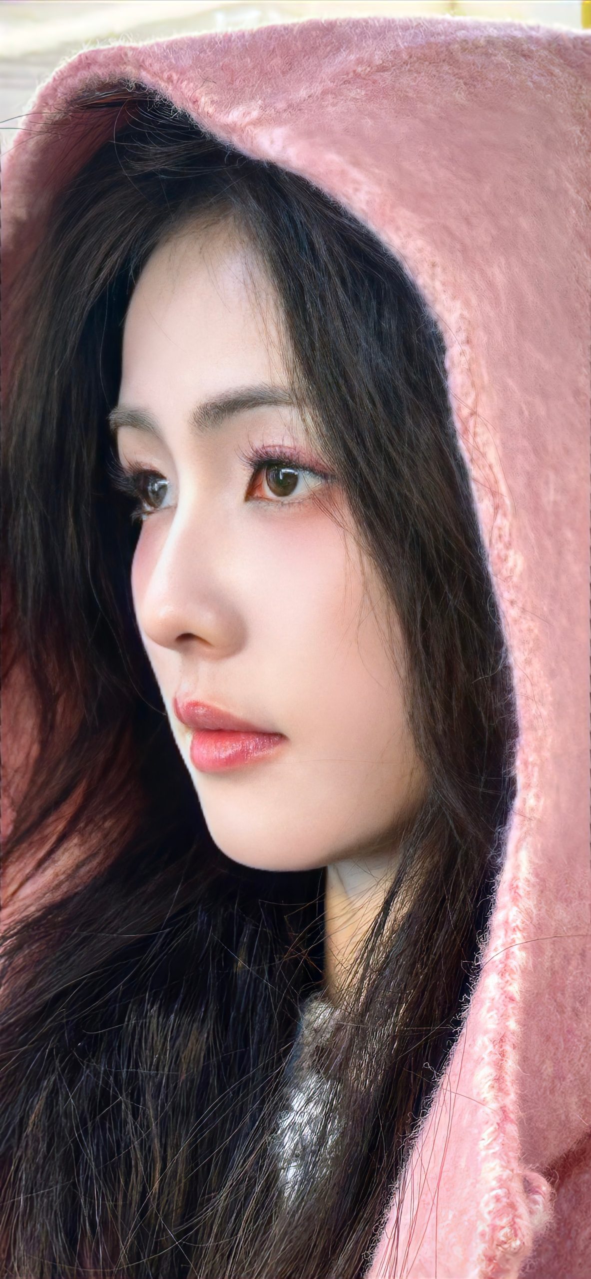 白鹿写真壁纸插图