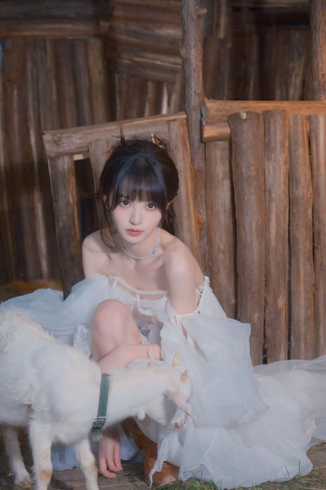 田曦薇写真插图7