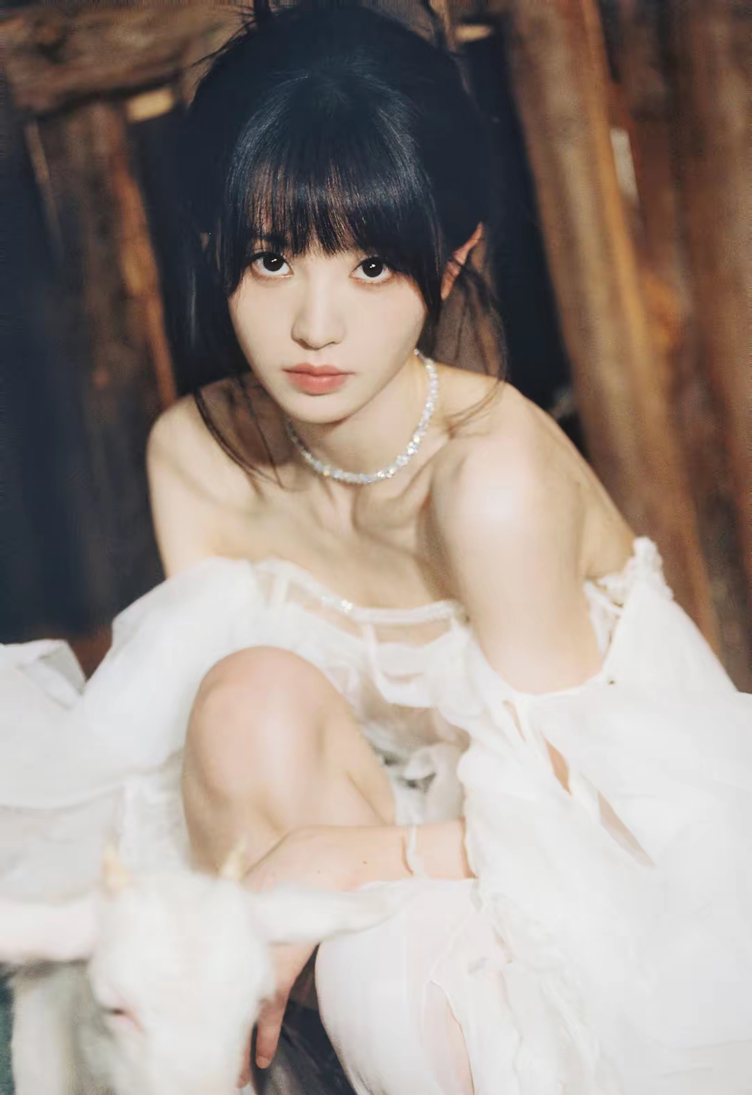 田曦薇写真插图9