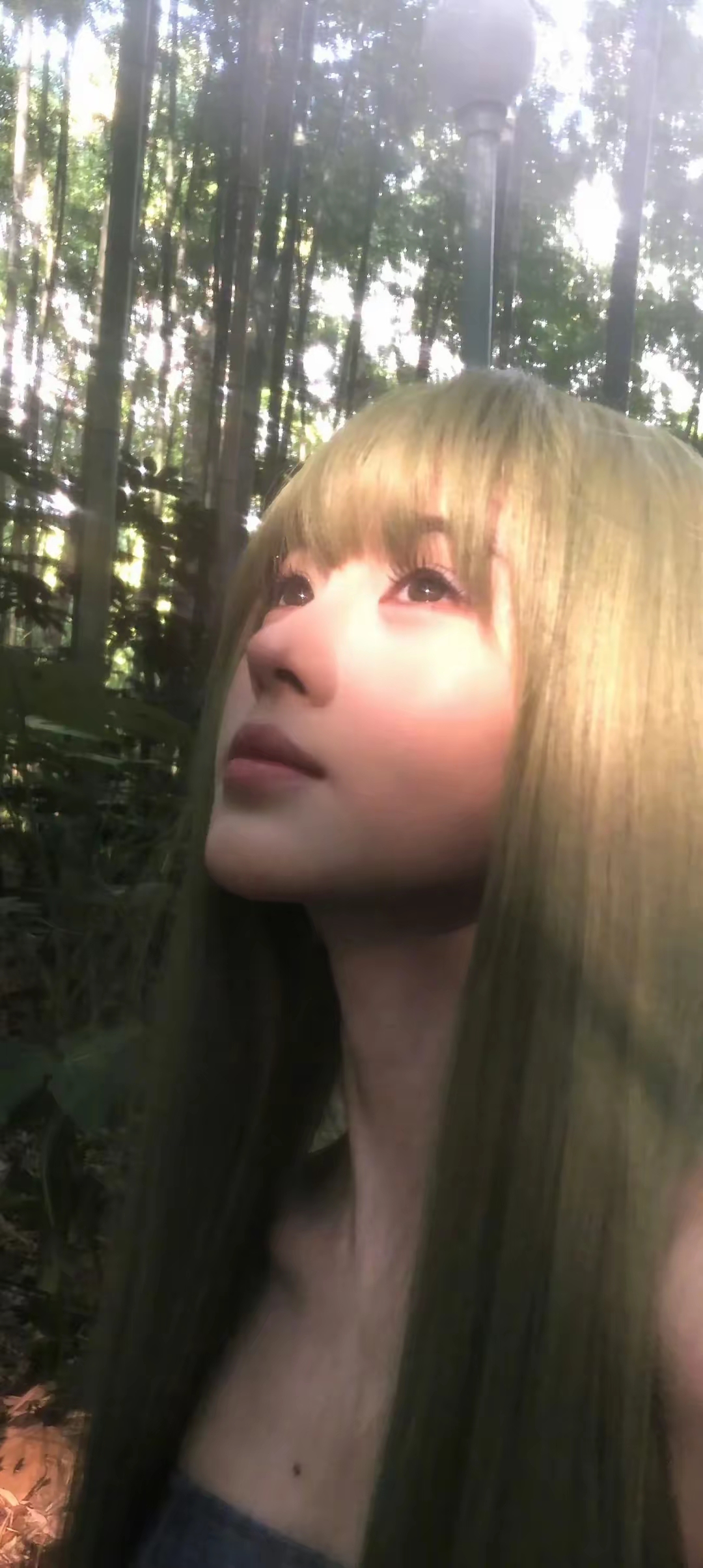 鞠婧祎写真插图5