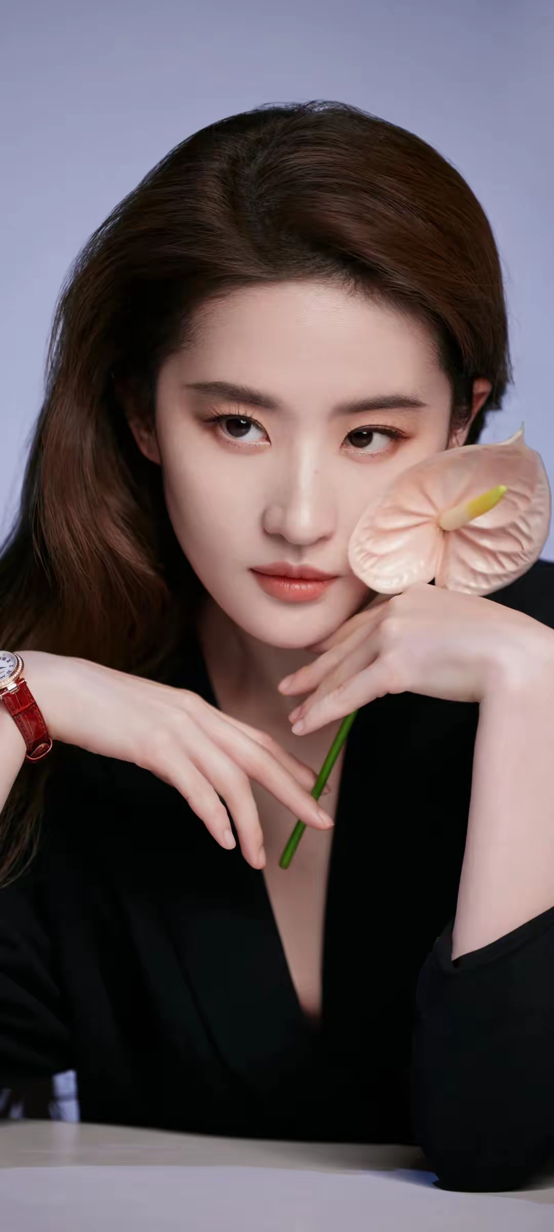 刘亦菲成熟优雅写真插图1