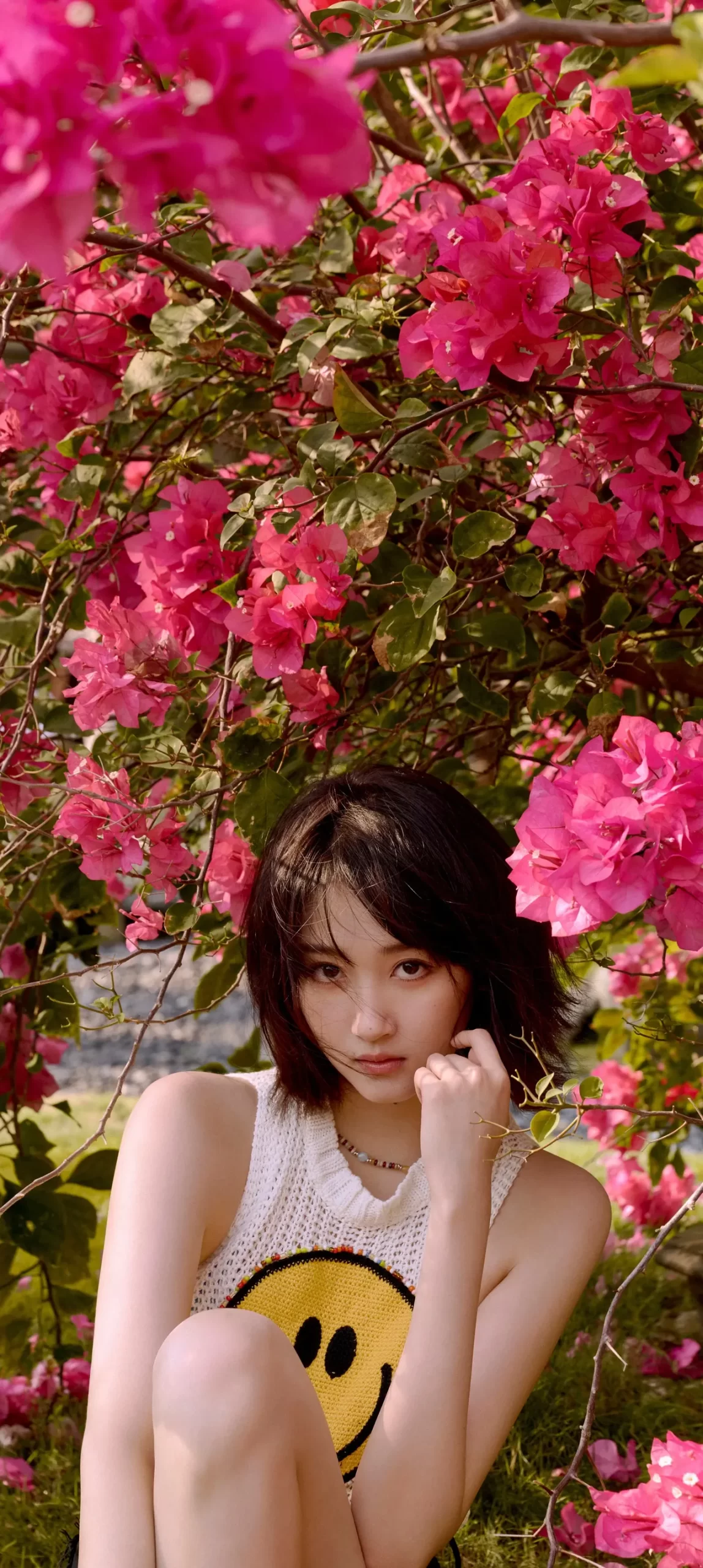 关晓彤高清写真插图5