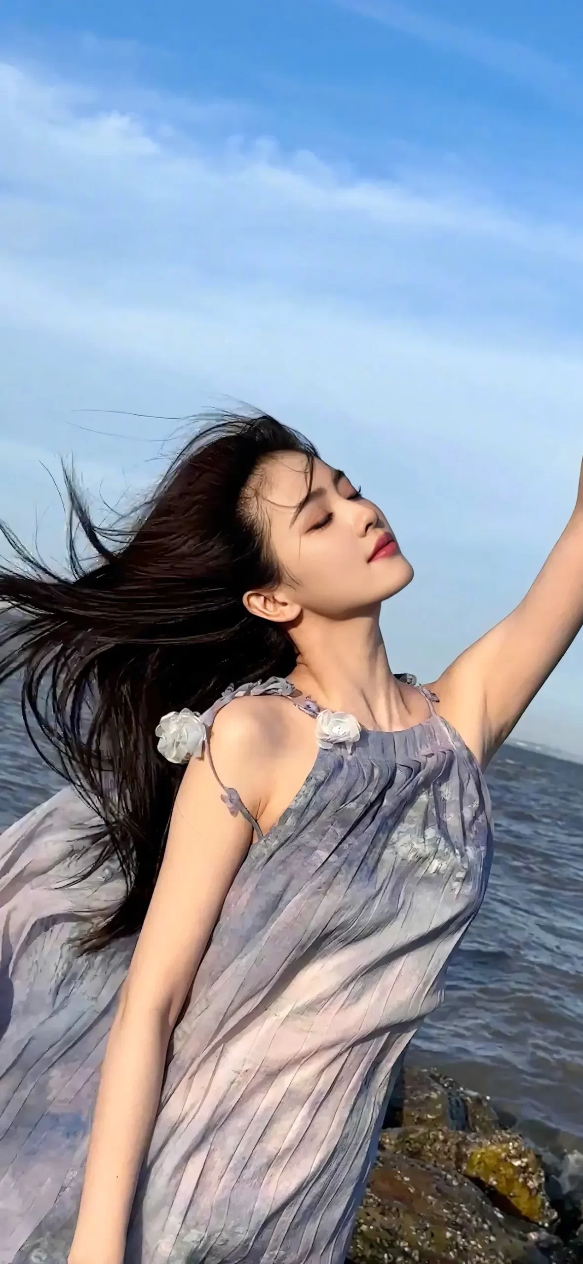 白鹿写真插图7