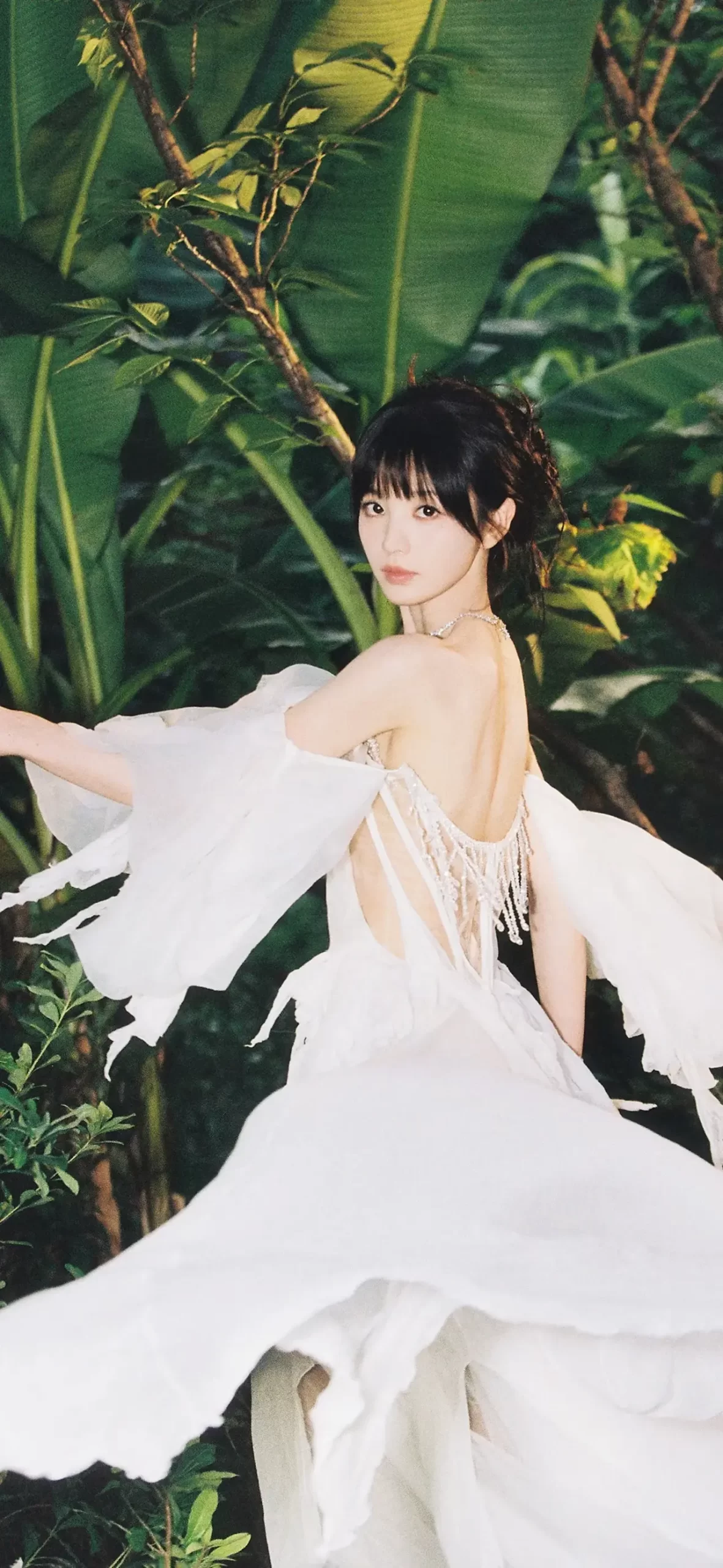 田曦薇写真插图