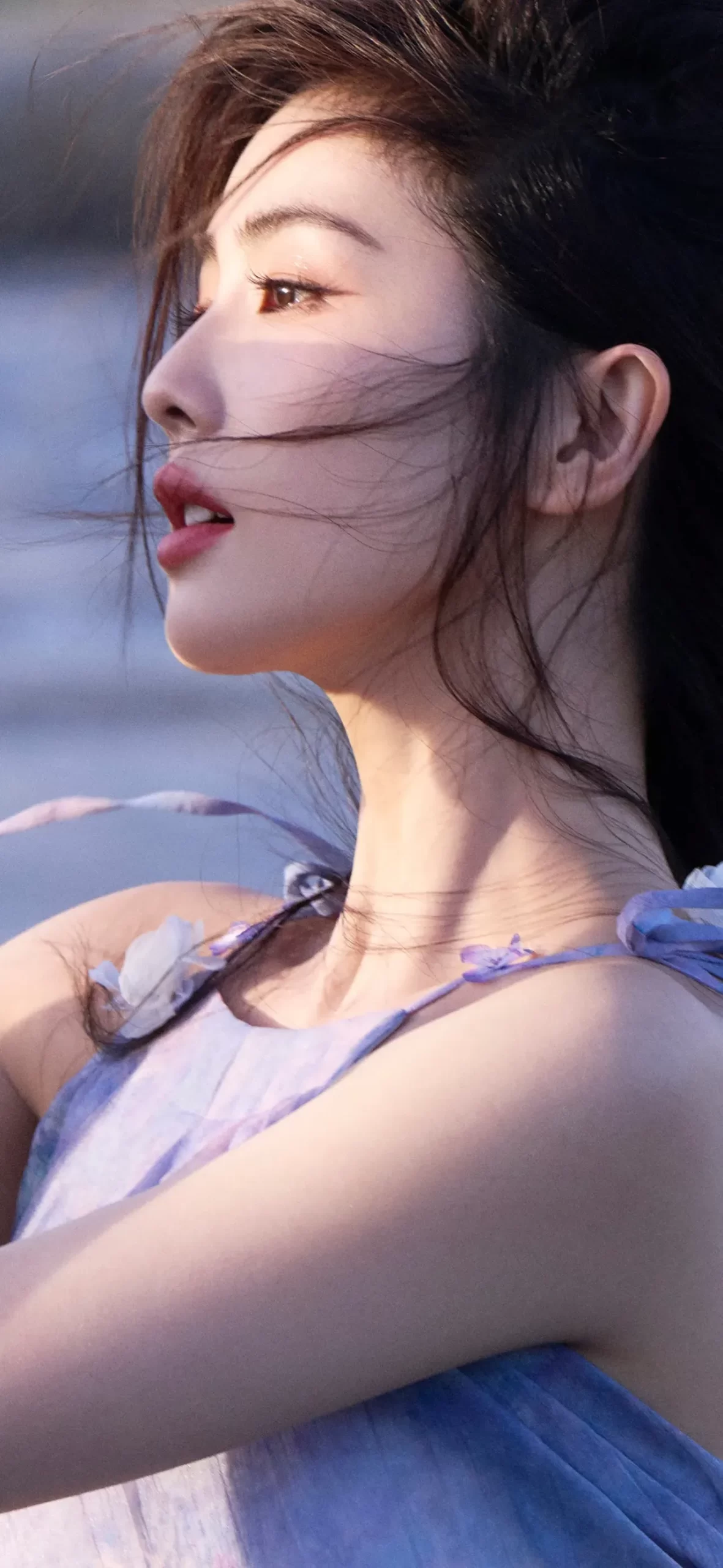 白鹿写真插图9