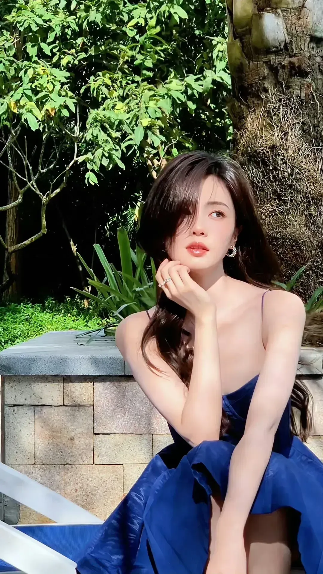 白鹿写真插图5