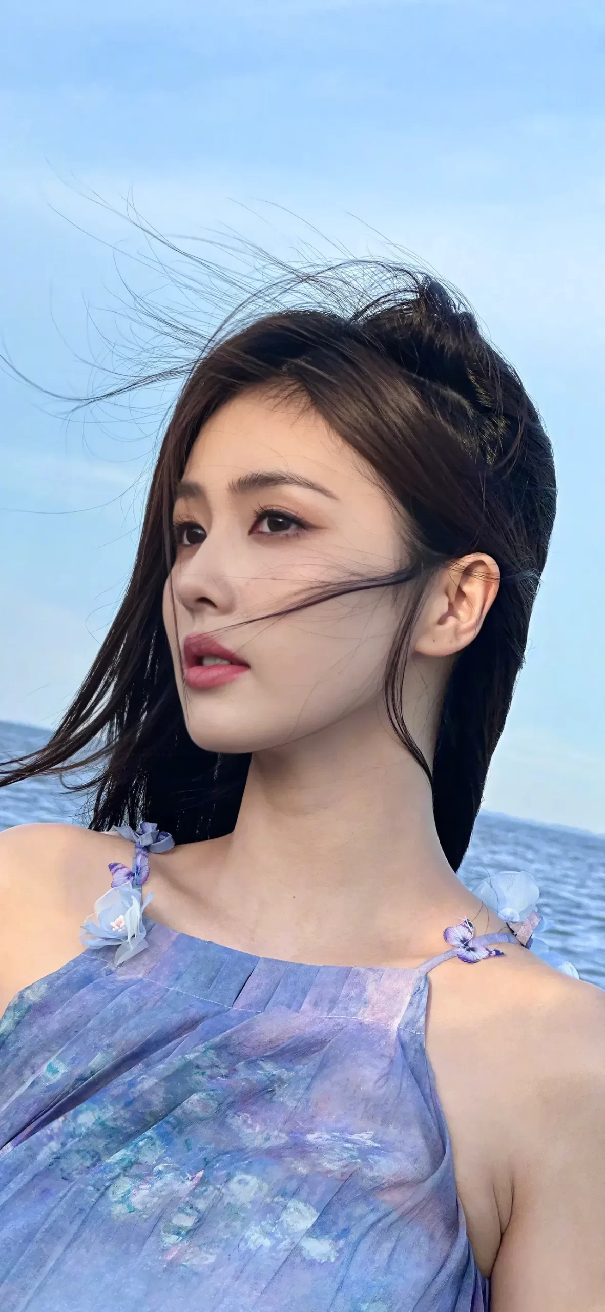 白鹿写真插图2