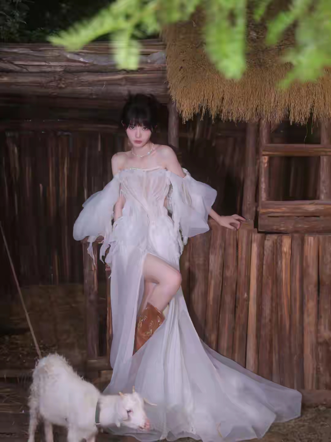 田曦薇写真插图6