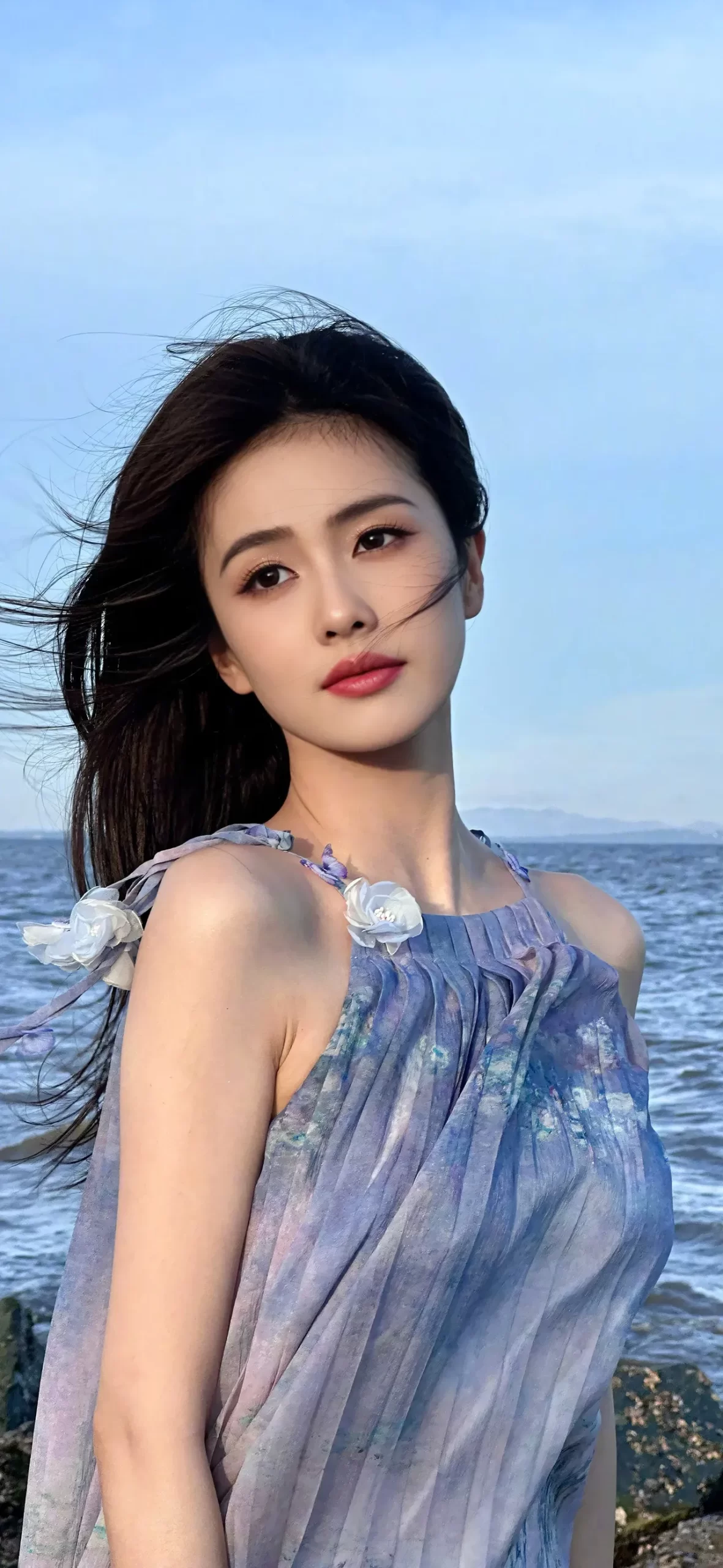 白鹿写真插图4