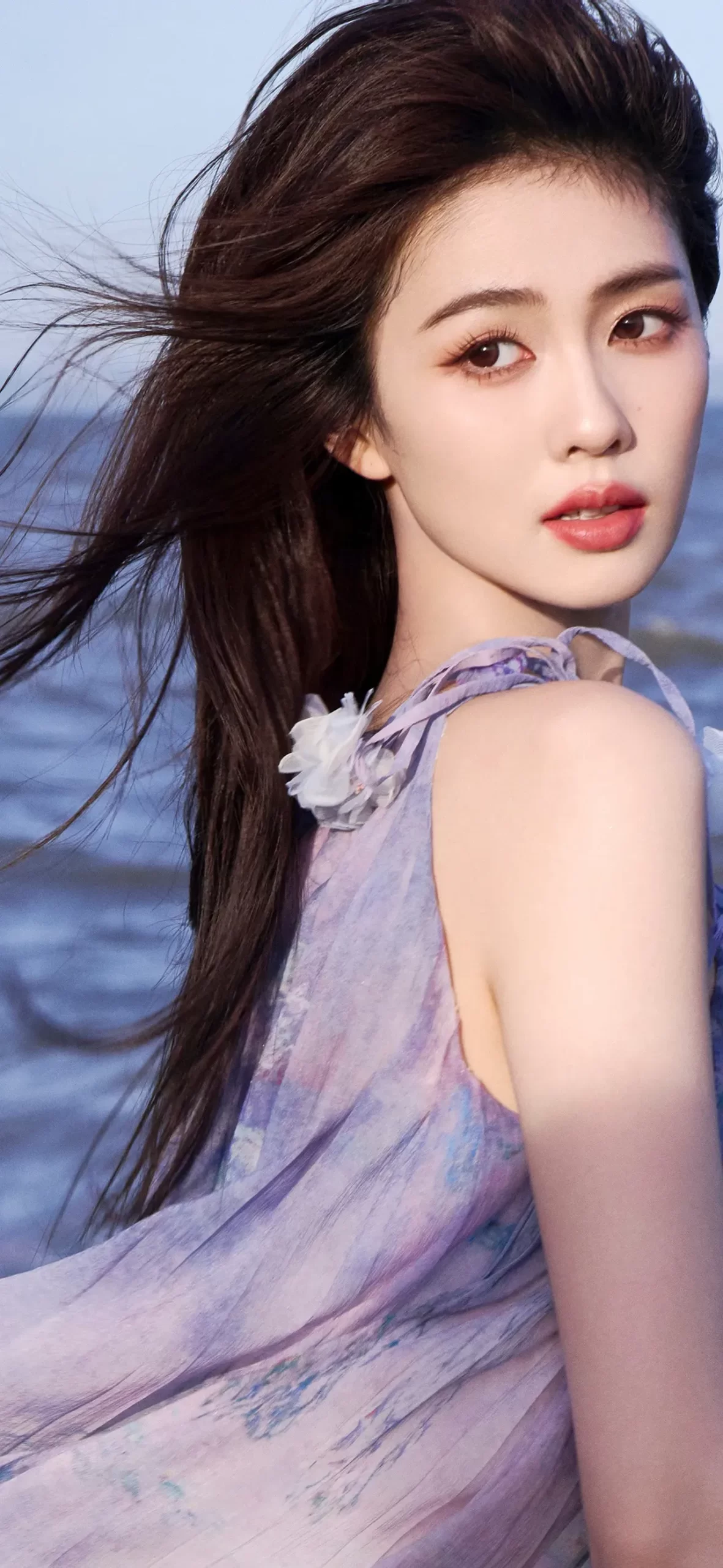 白鹿写真插图13