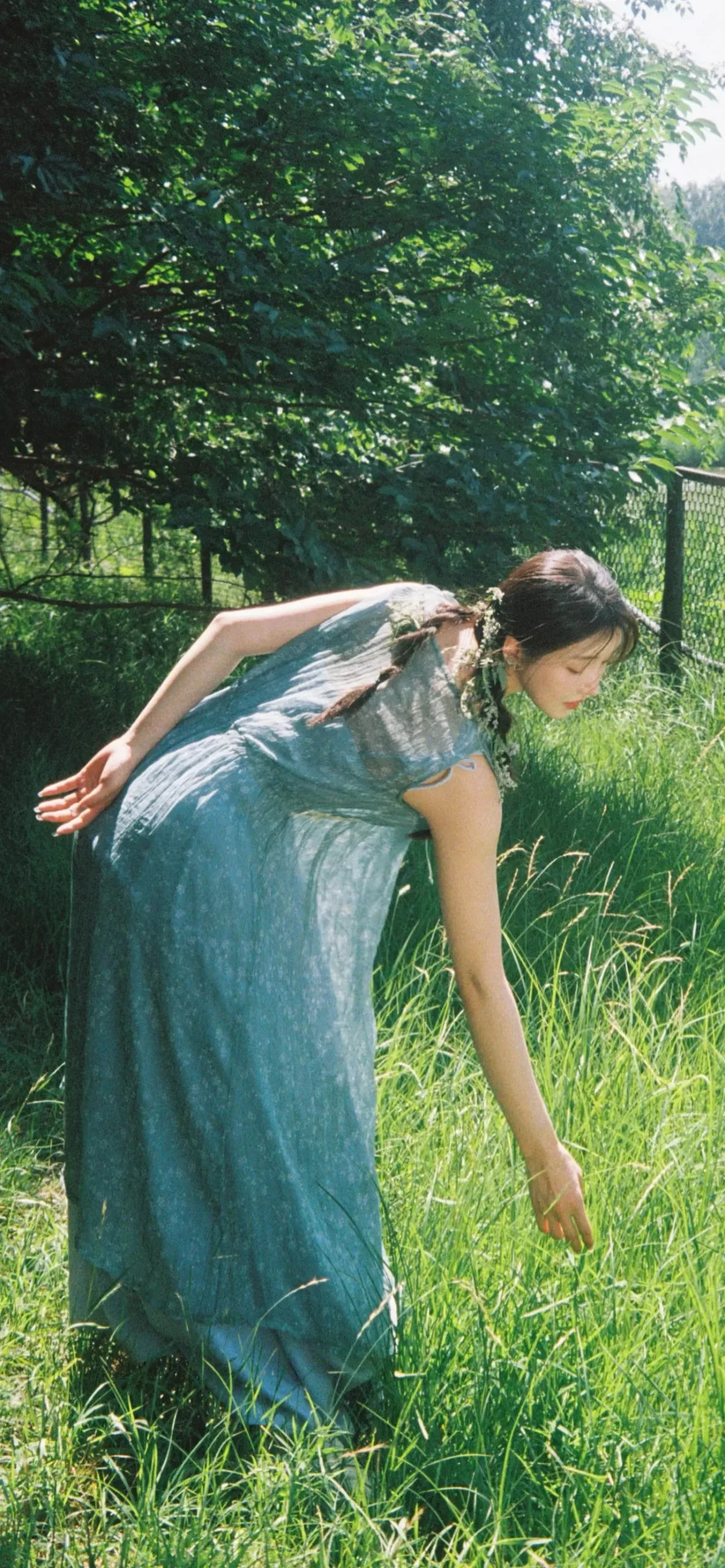 姜贞羽夏日写真插图5