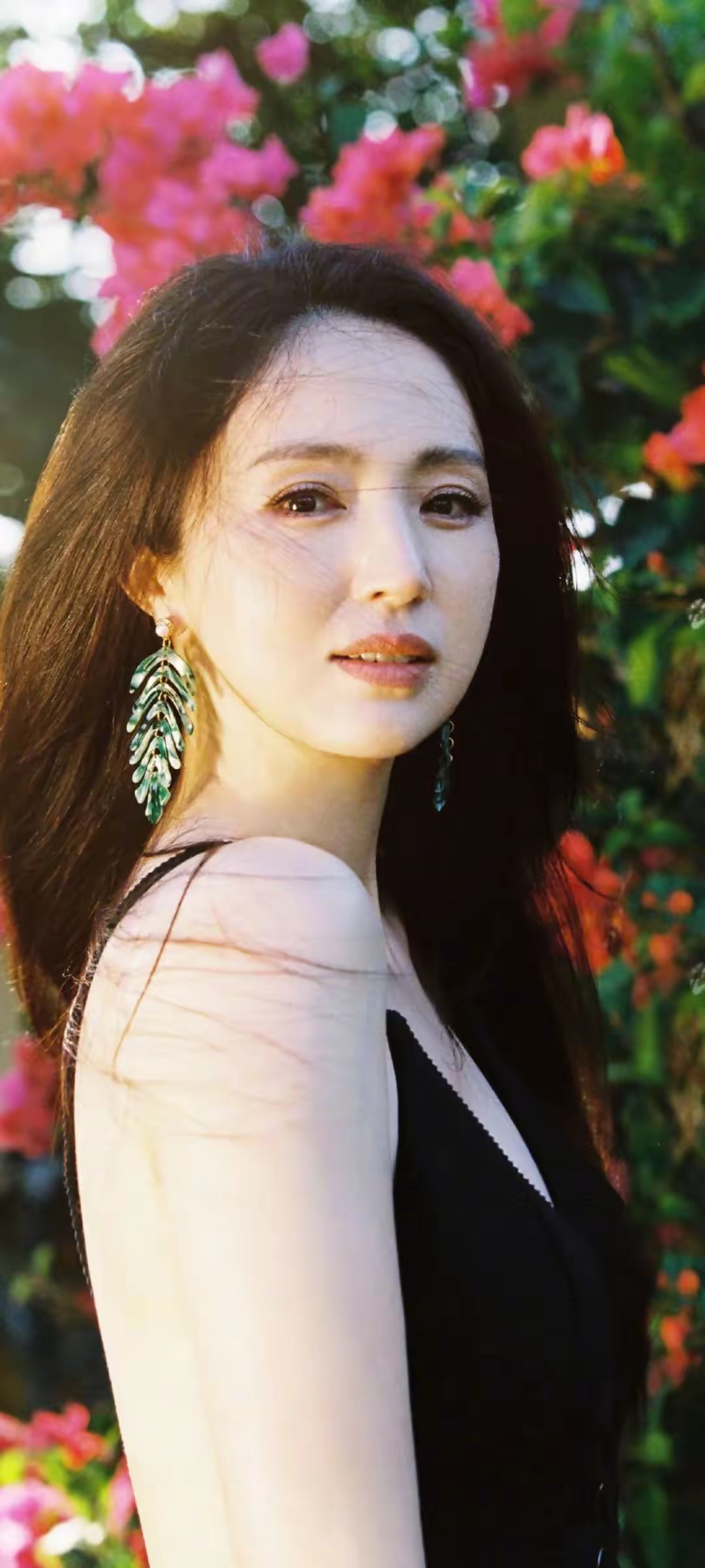 董璇写真插图5