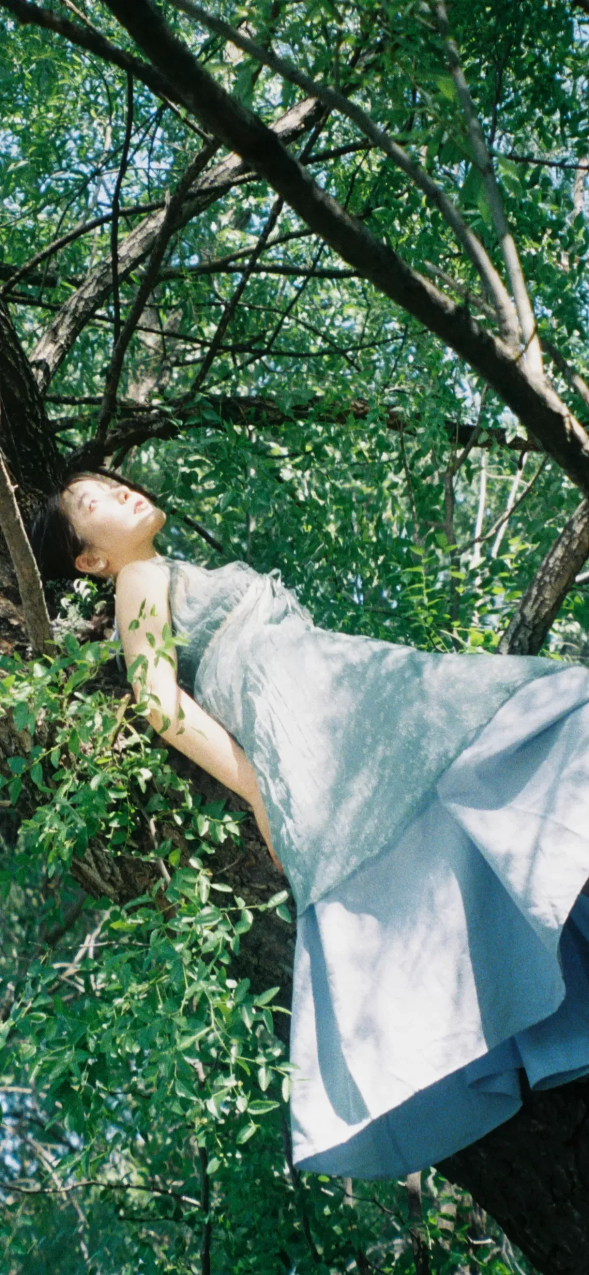 姜贞羽夏日写真插图2