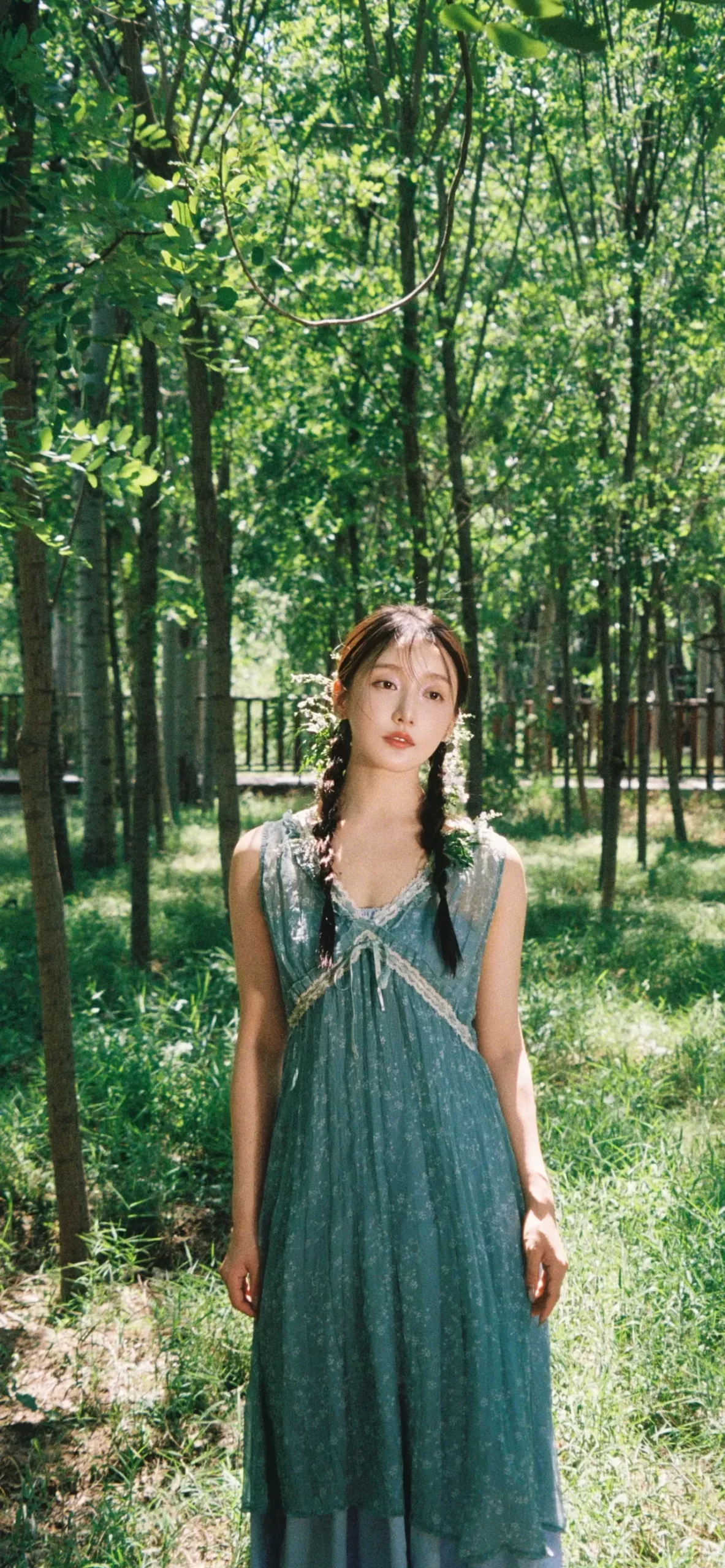 姜贞羽夏日写真插图8