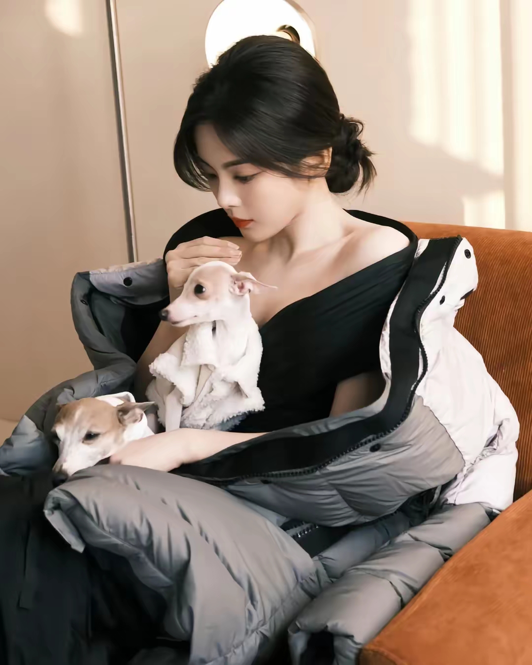 杨超越写真插图4