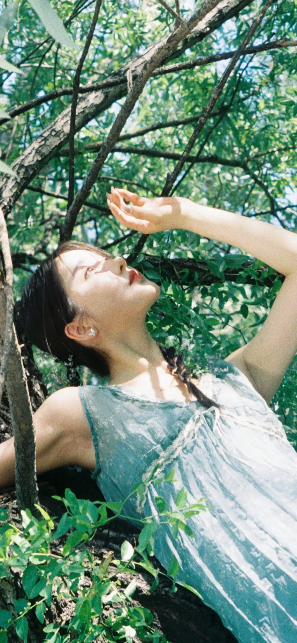 姜贞羽夏日写真插图3