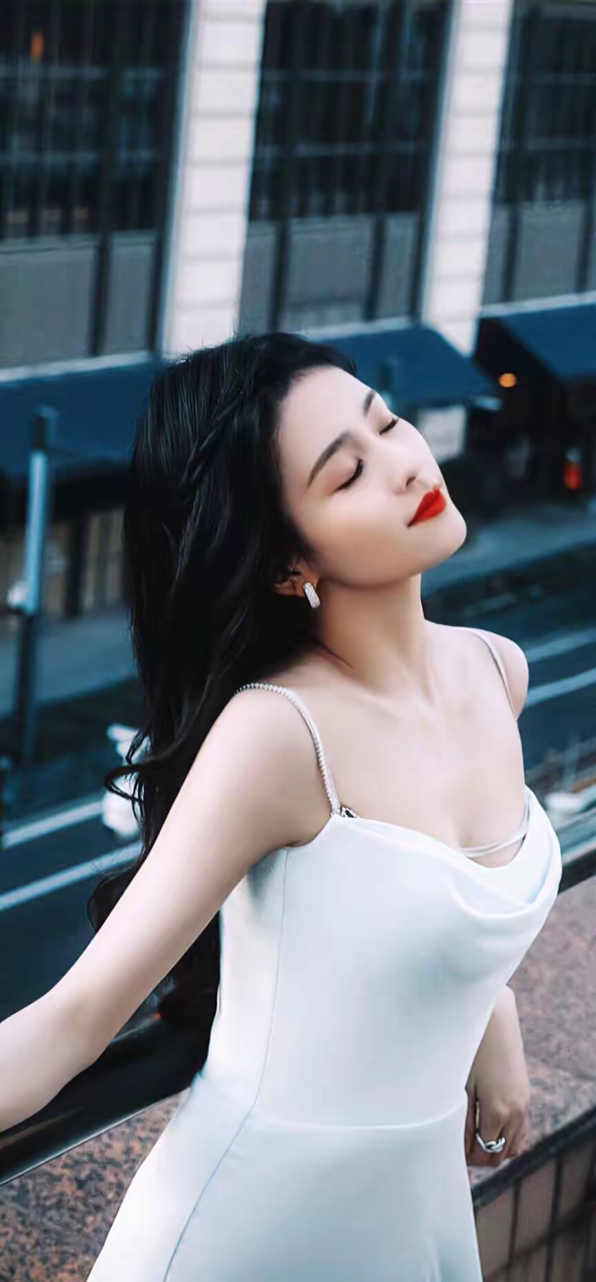 白鹿写真插图14