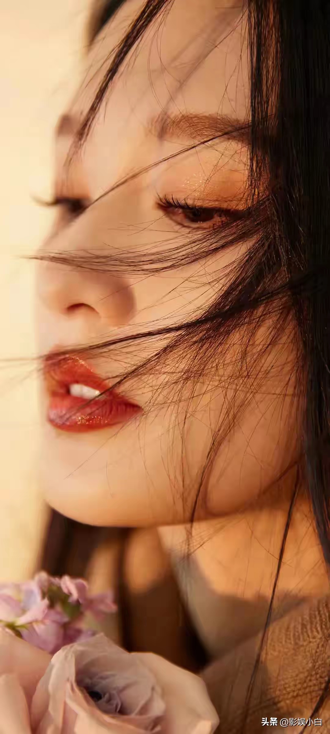 李沁插图7