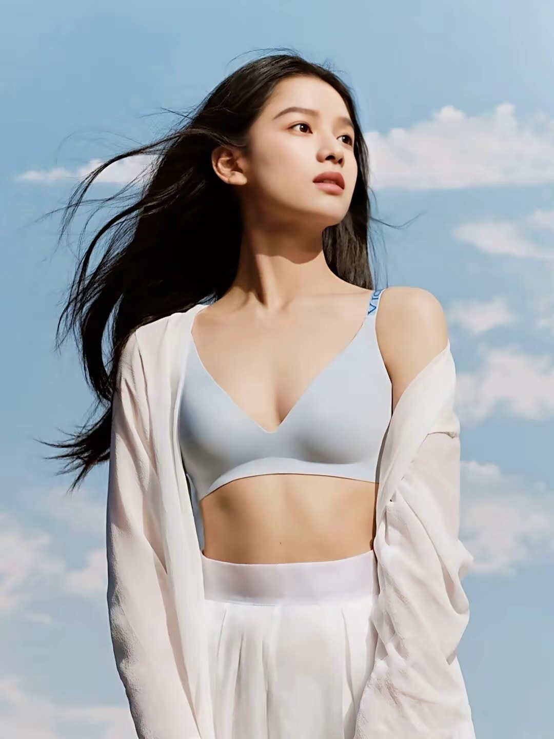 张婧仪内衣写真插图