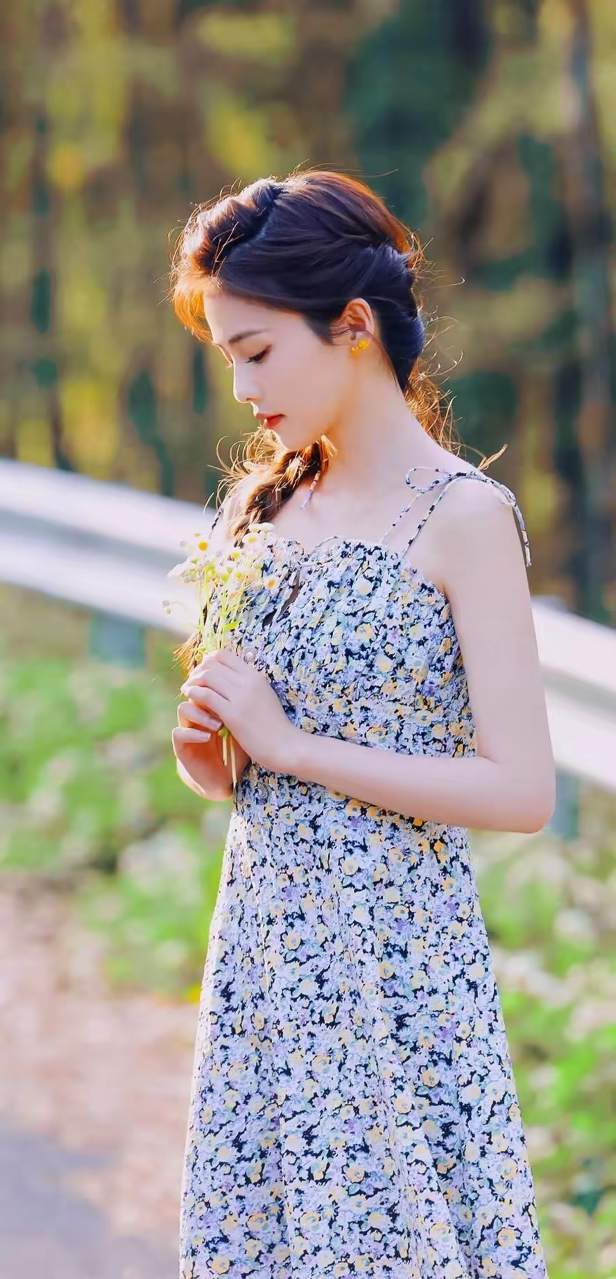 白鹿写真插图11