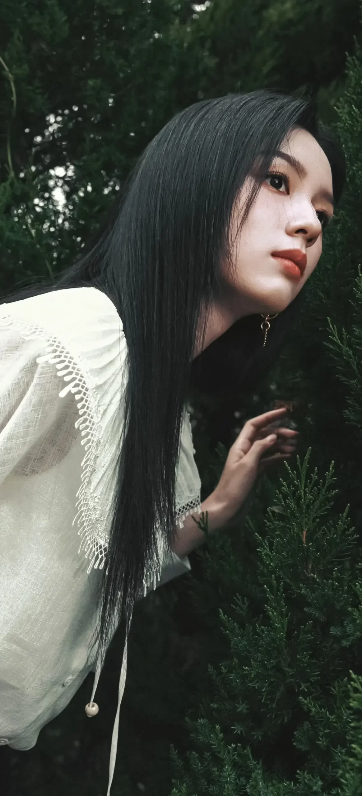 周也插图1