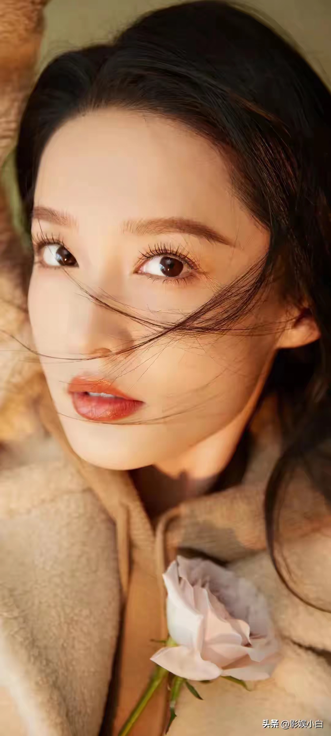李沁插图6