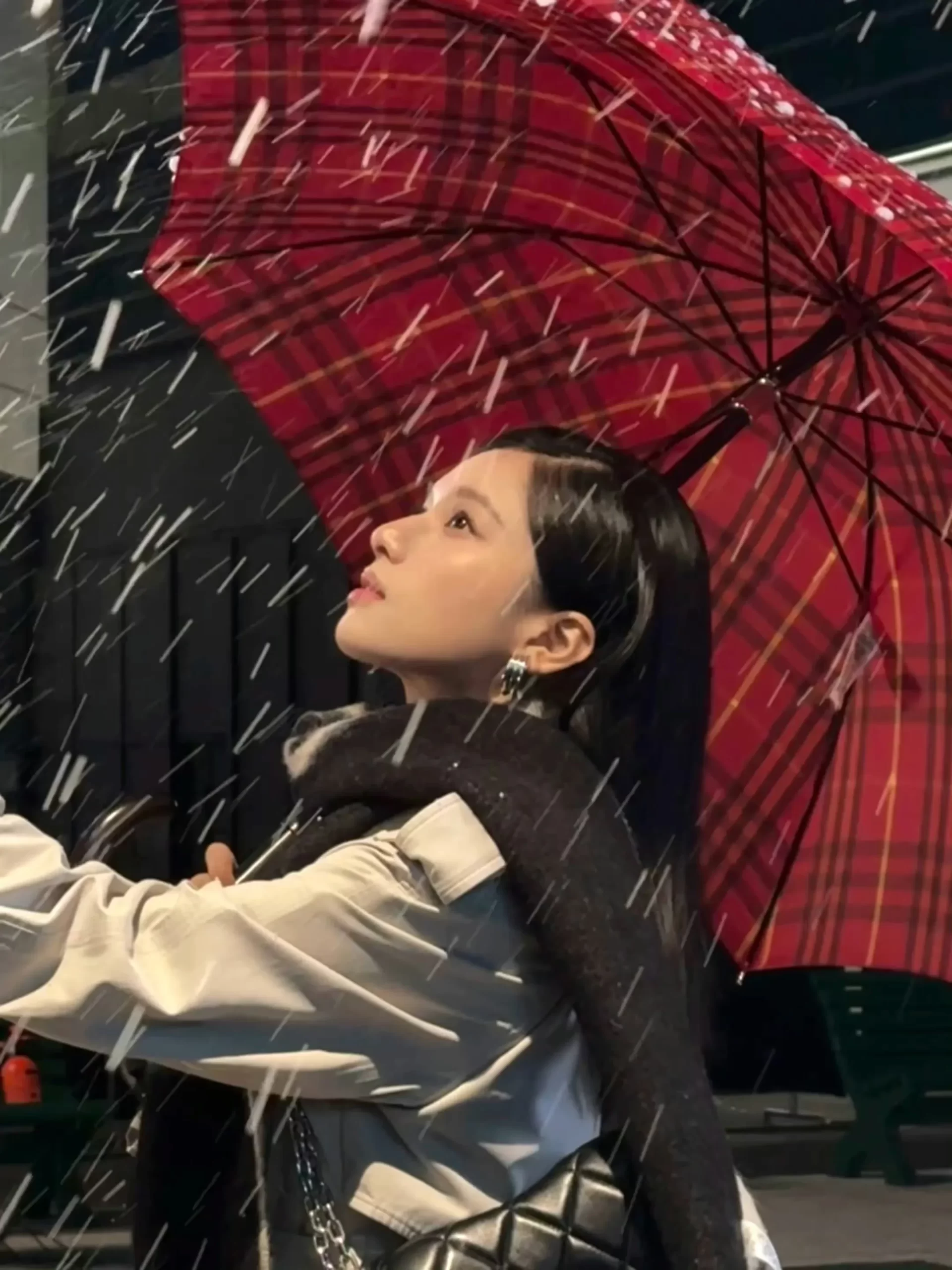张婧仪写真插图7