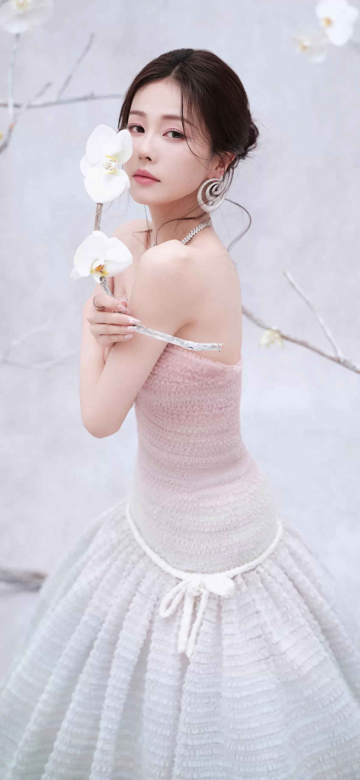 白鹿写真插图28