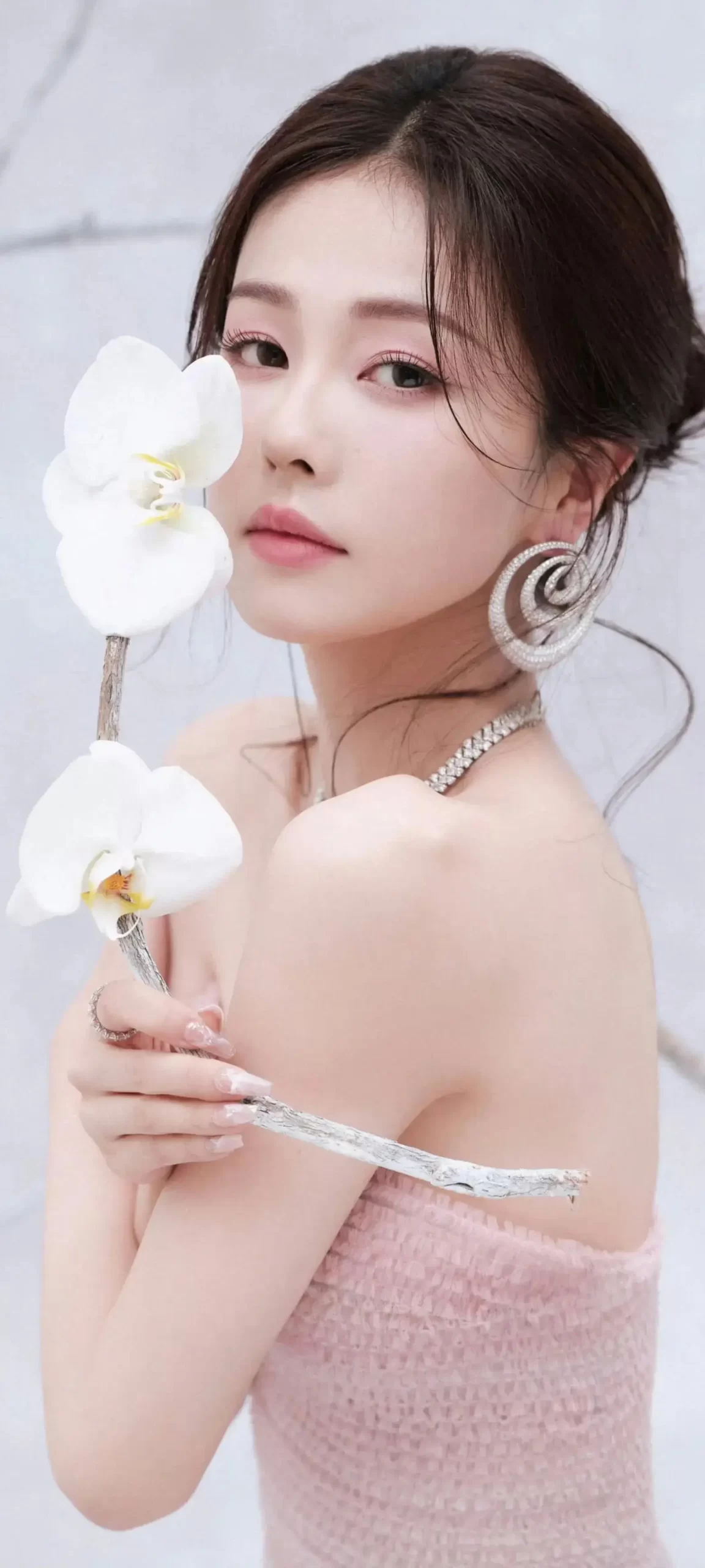 白鹿写真插图10