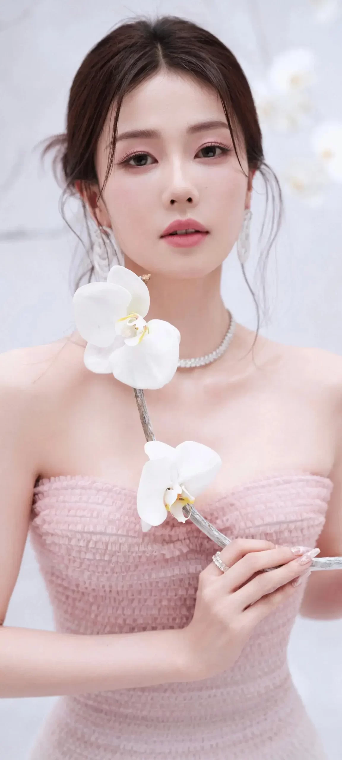 白鹿写真插图1