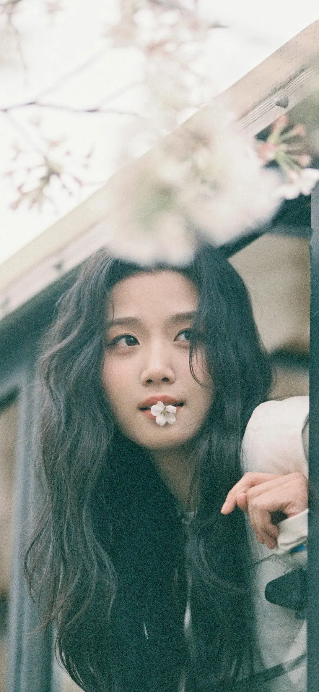 卢昱晓写真插图3