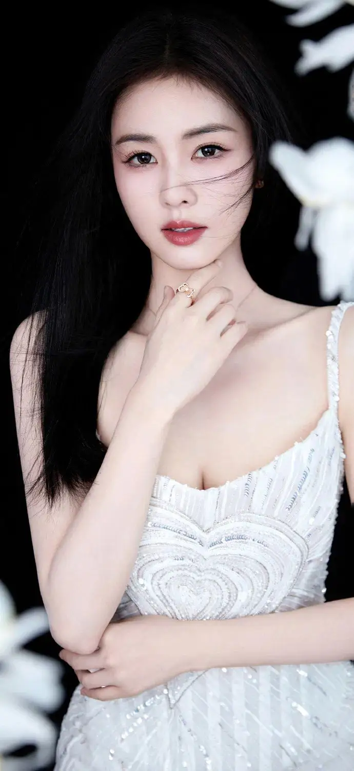 白鹿写真插图1