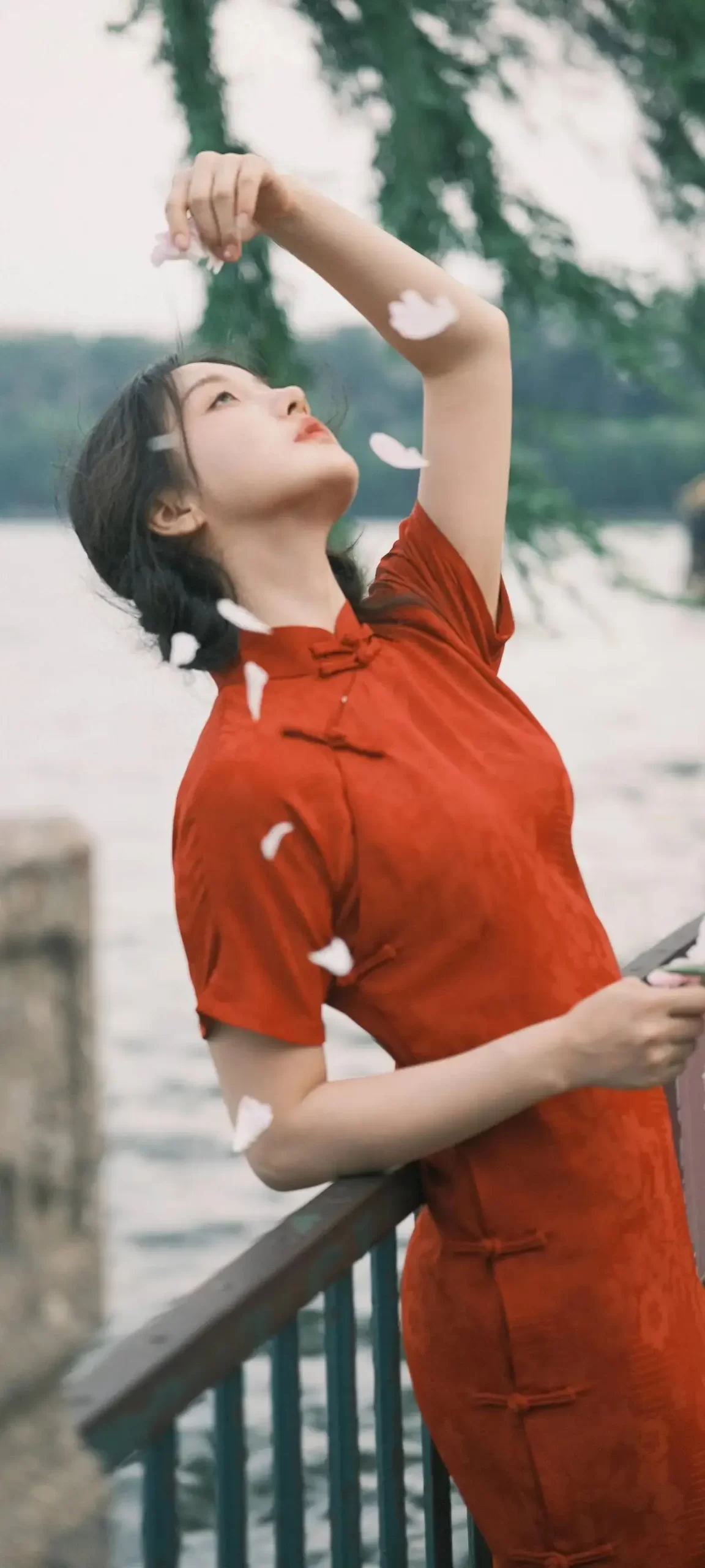 姜贞羽写真插图14